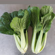 Bok Choi 4oz - Recogido en tienda o mercado, NO ENVÍO POR CORREO
